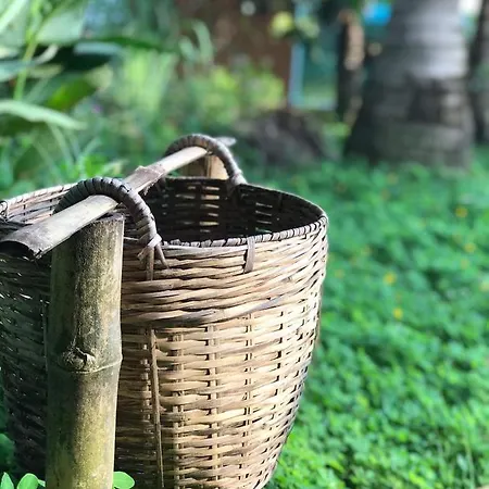 Phuc Sinh Homestay Ben Tre Exterior photo