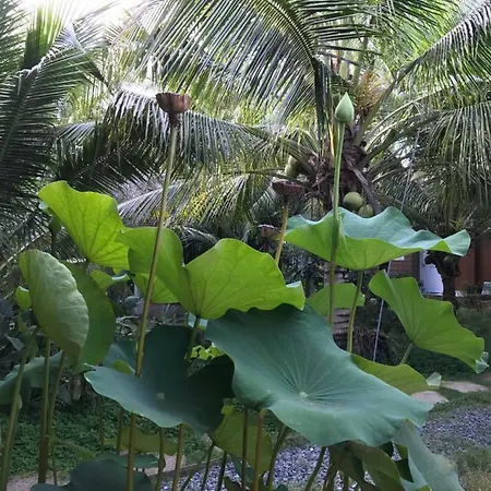 Phuc Sinh Homestay Ben Tre Exterior photo