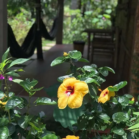 Phuc Sinh Homestay Ben Tre Exterior photo
